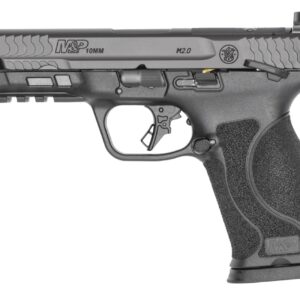 SMITH AND WESSON M&P10MM M2.0 10MM 4.6" TS CA