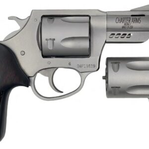 CHARTER ARMS MAG PUG AND PITBULL COMBO SERIES .357MAG/.38 SPECIAL AND 9MM 5RD STAINLESS STEEL 73920