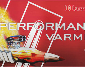 HORNADY SPF VARMINT 243 WSSM - 75GR V-MAX 20RD 10BX/CS