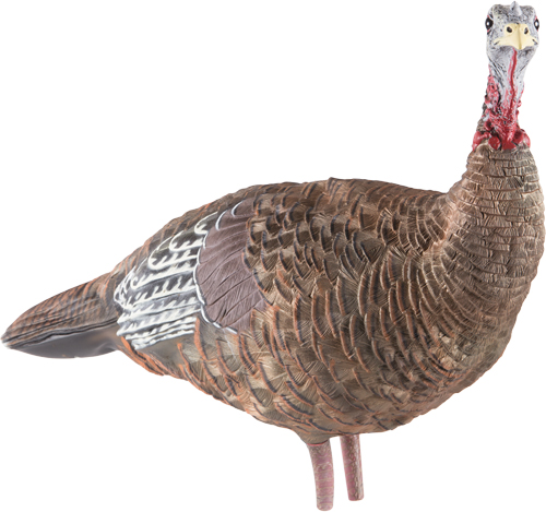 AVIAN X LCD LOOKOUT HEN DECOY - Image 3