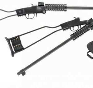 CHIAPPA LITTLE BADGER 22LR BLACK 12R 500.092