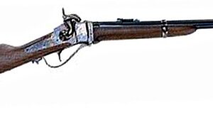 CHIAPPA SHARPS 1863 NM 45/70 22" 920.343