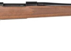 LSI HOWA M1500 243 WIN 22 BL