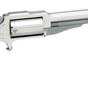 NAA 22LR/M 1860 EARL SS