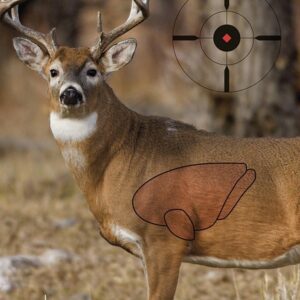 Birchwood Casey Pregame Targets Deer 16.5"x24" 3/ct