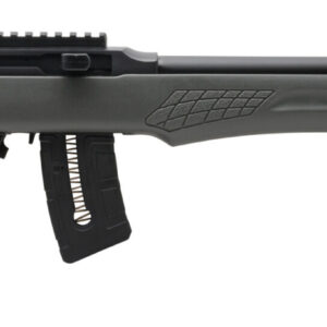 ROSSI RS22 22MAG BLK/GRAY 21" 10+1 #