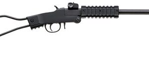 CHIAPPA LITTLE BADGER 17HMR 12RD 500.145