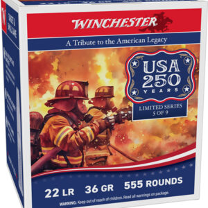 WINCHESTER 22LR 36GR PLATED HP - 1280FPS 555RD 10BX/CS 250TH AN
