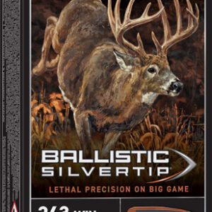 WINCHESTER SUPREME 243 WIN - 95GR SILVER-TIP 20RD 10BX/CS