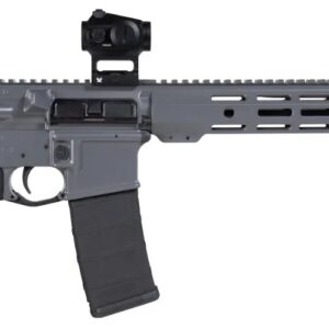 SHARK COAST TACTICAL AR15 GREY NIGHT BUNDLE 556 16IN BARREL 30RD 300-100-1002-04