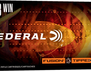 FEDERAL FUSION 243 WIN 95GR - TIPPED FUSION 20RD 10BX/CS