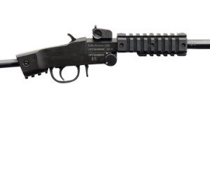 CHIAPPA LITTLE BADGER RIFLE TAKE D 500.265