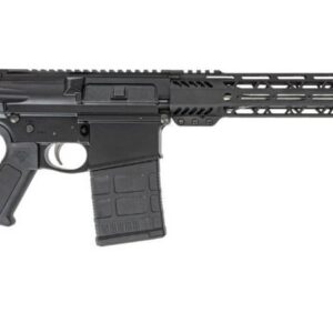 DPMS DP10 308 LW 16 SS MOE 20