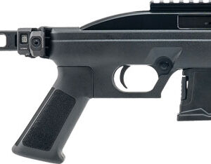 ROSSI RS22 22LR 10-SHOT 6" - BLACK W/BRACE